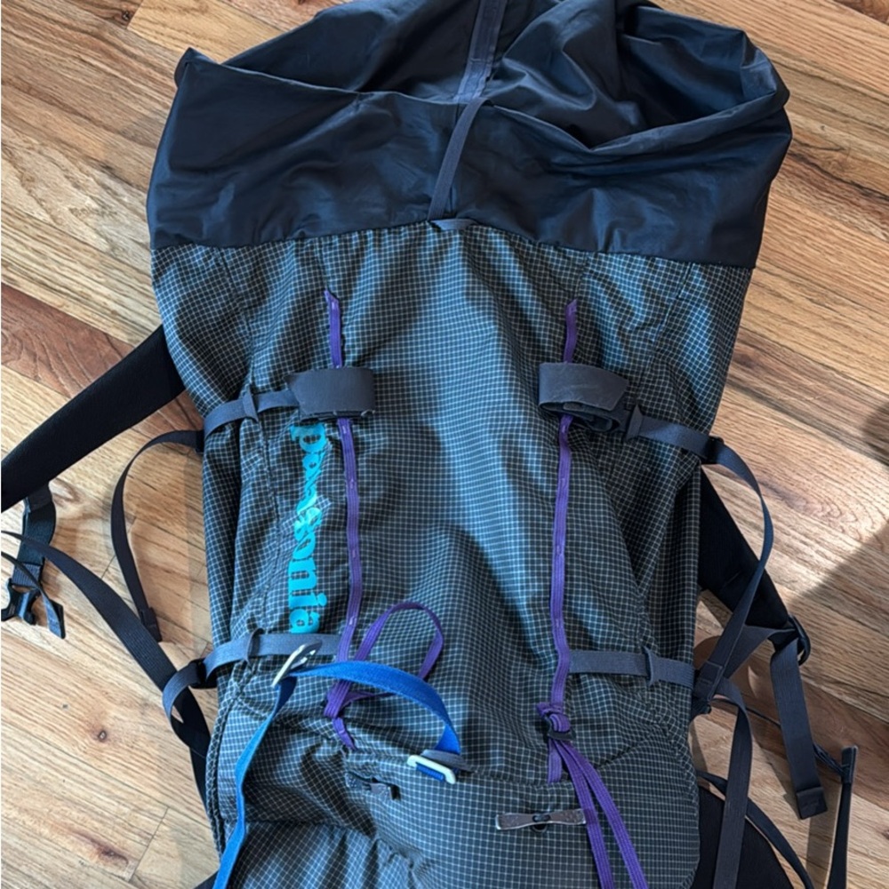 Patagonia cinch top back pack